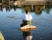 teichreinigung_2011_32