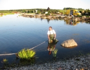 teichreinigung_2011_41