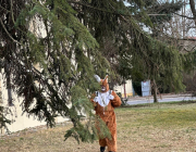 hase1