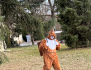 hase2