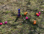 img-20260429-wa0006